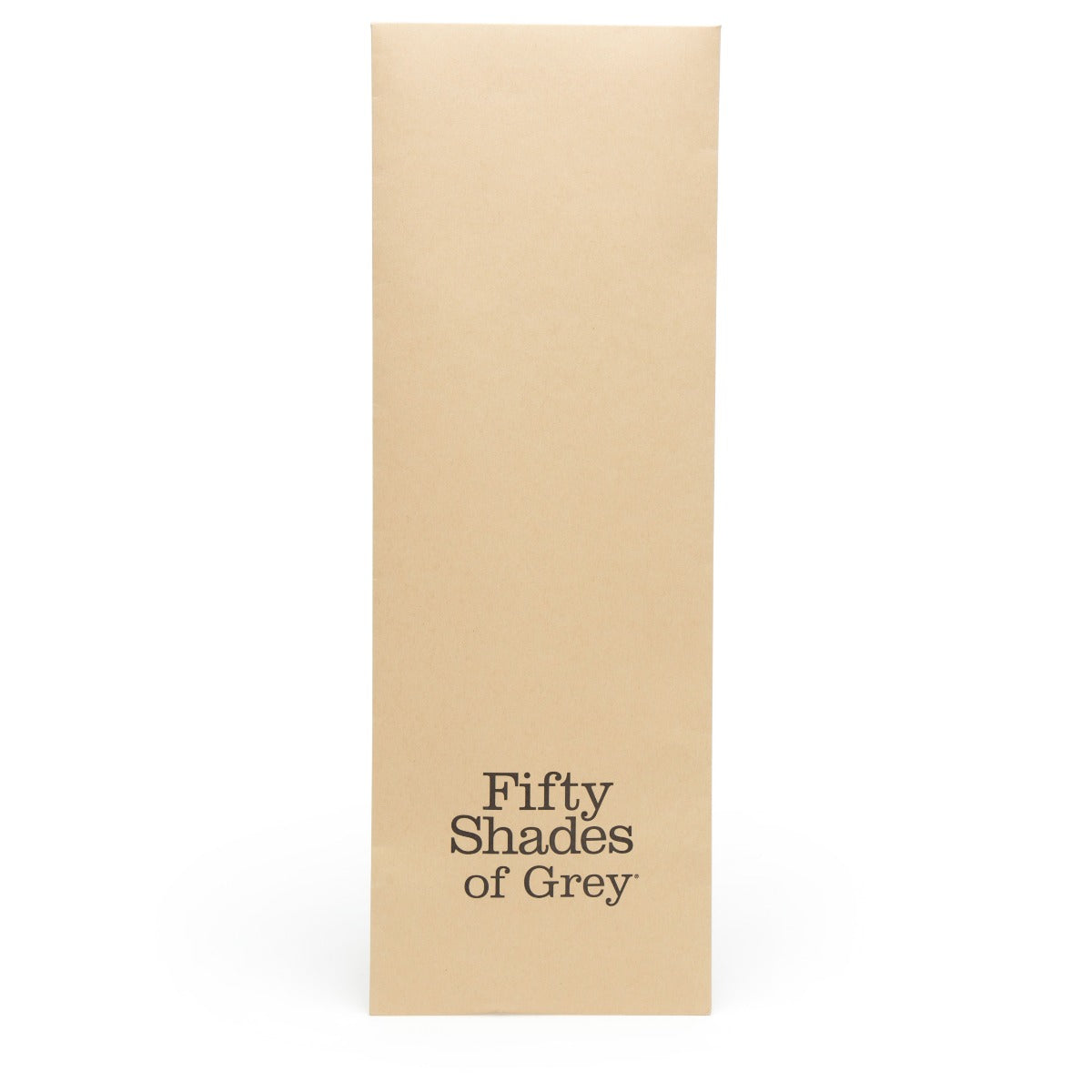 Fifty Shades of Grey Bound to You Ankle Cuffs - Image 4
