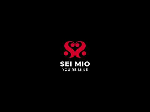 SEI MIO - Comfortably in Control - Deluxe Sex Position Restraint System - Image 2