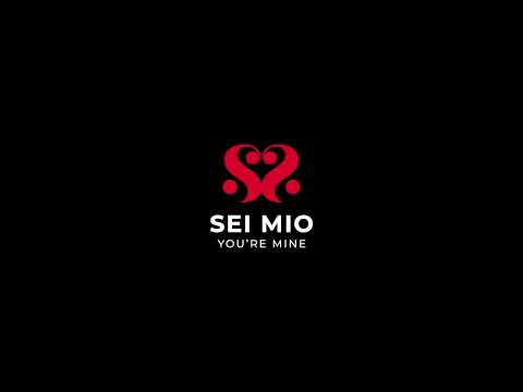 SEI MIO - Slap and Tickle - Dual Ended Crop and Tickler - Image 3