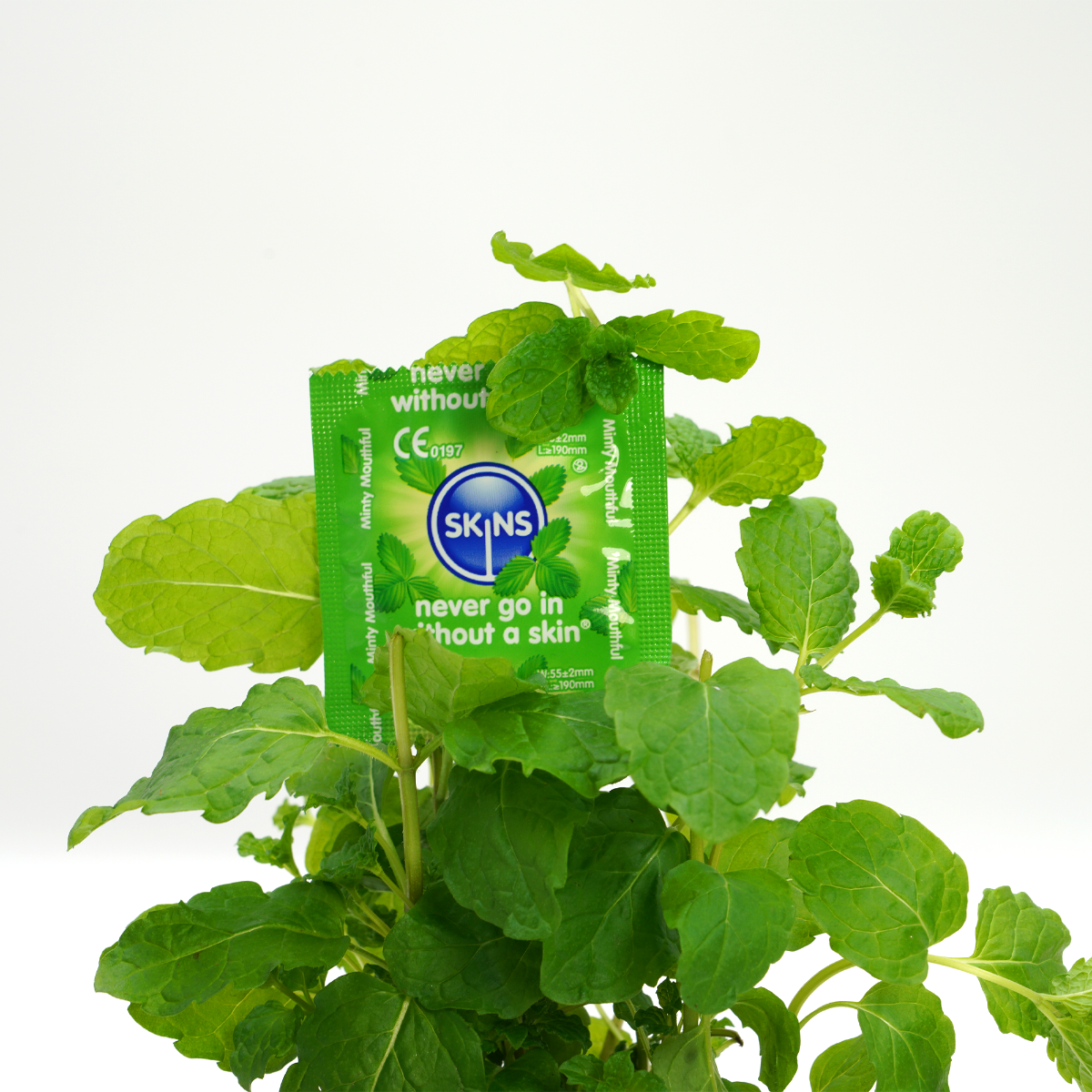 Skins Condoms Mint 4 Pack - Image 4