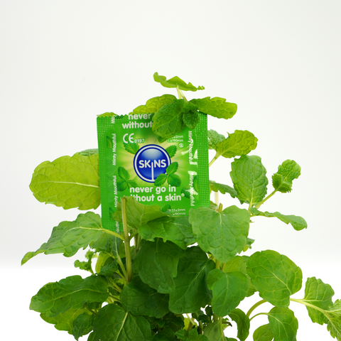 Skins Condoms Mint 4 Pack - Image 4