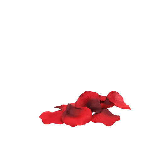 You & Me On A Bed Of Roses! by CC Games - Image 2