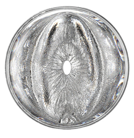 Fleshlight Quickshot - Stoya Destroya - Image 2