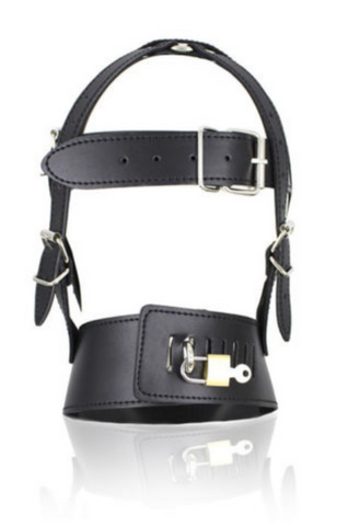 Bondage Lockable Gimp Mask